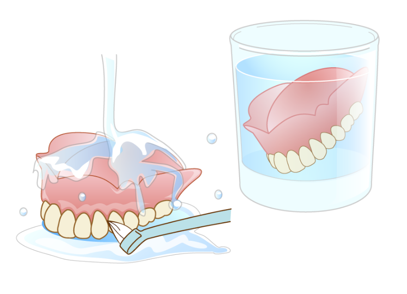 入れ歯のお手入れと保証について｜湘南パーク歯科