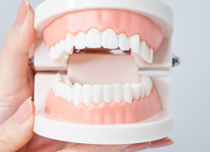 噛み合わせと全身疾患の関係|湘南パーク歯科