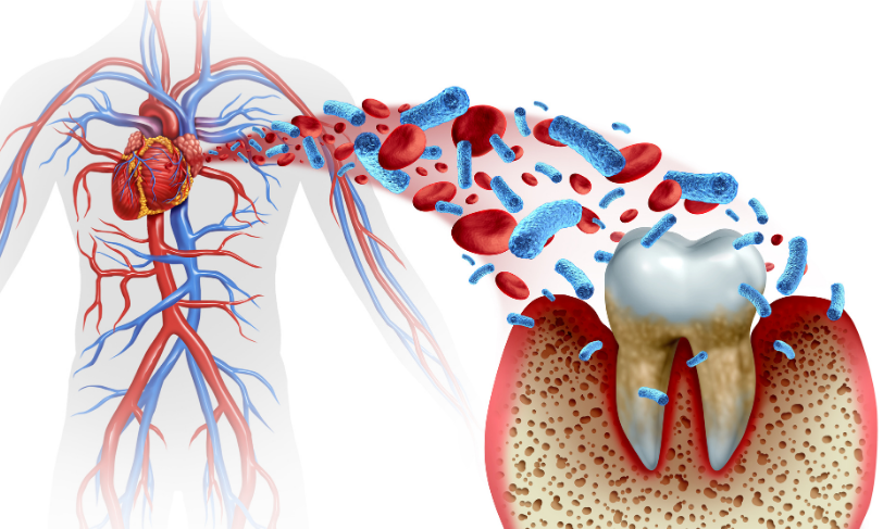 全身の健康を守るために｜湘南パーク歯科